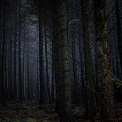 As102d(dark forest_){Free to use}