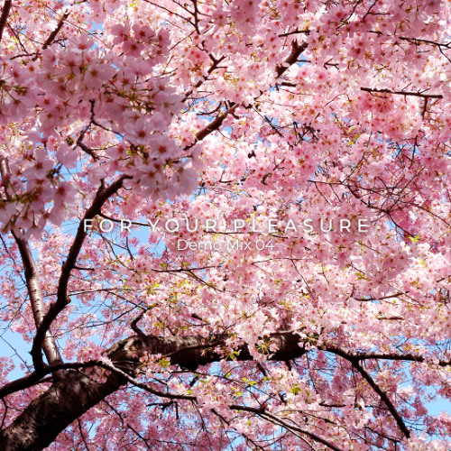 For Your Pleasure Demo Mix 04
