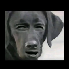 dymon