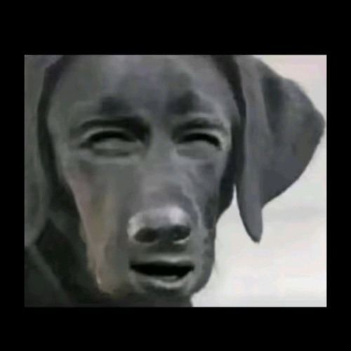 dymon