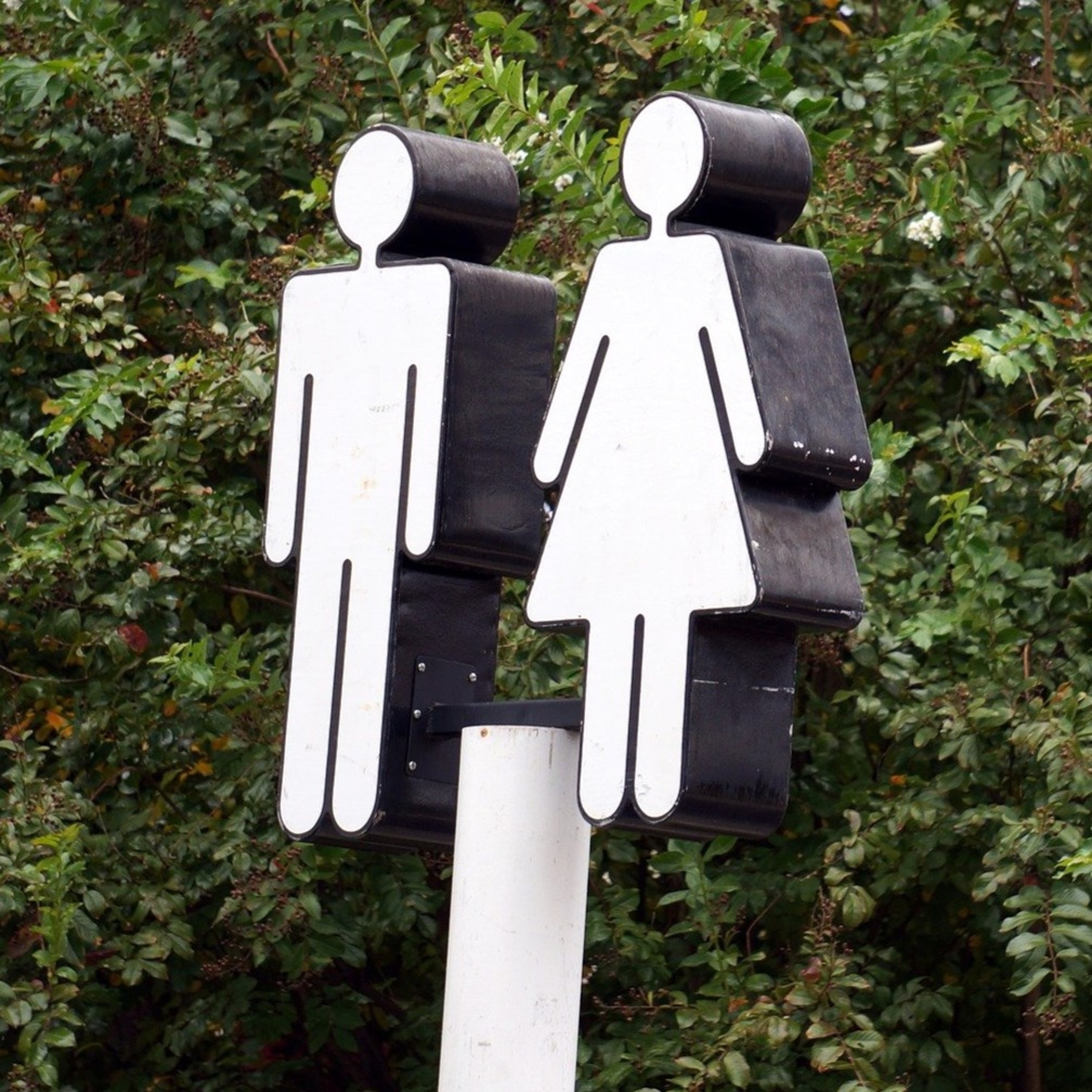 CC095: Do Non-Biological Views of Gender Make Any Sense? (Dr. Tomas Bogardus)