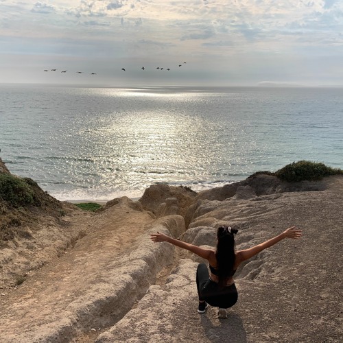 the urge to fly