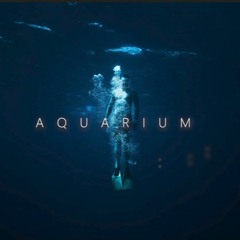 Aquarium (Feat. CYBER SONGMAN)