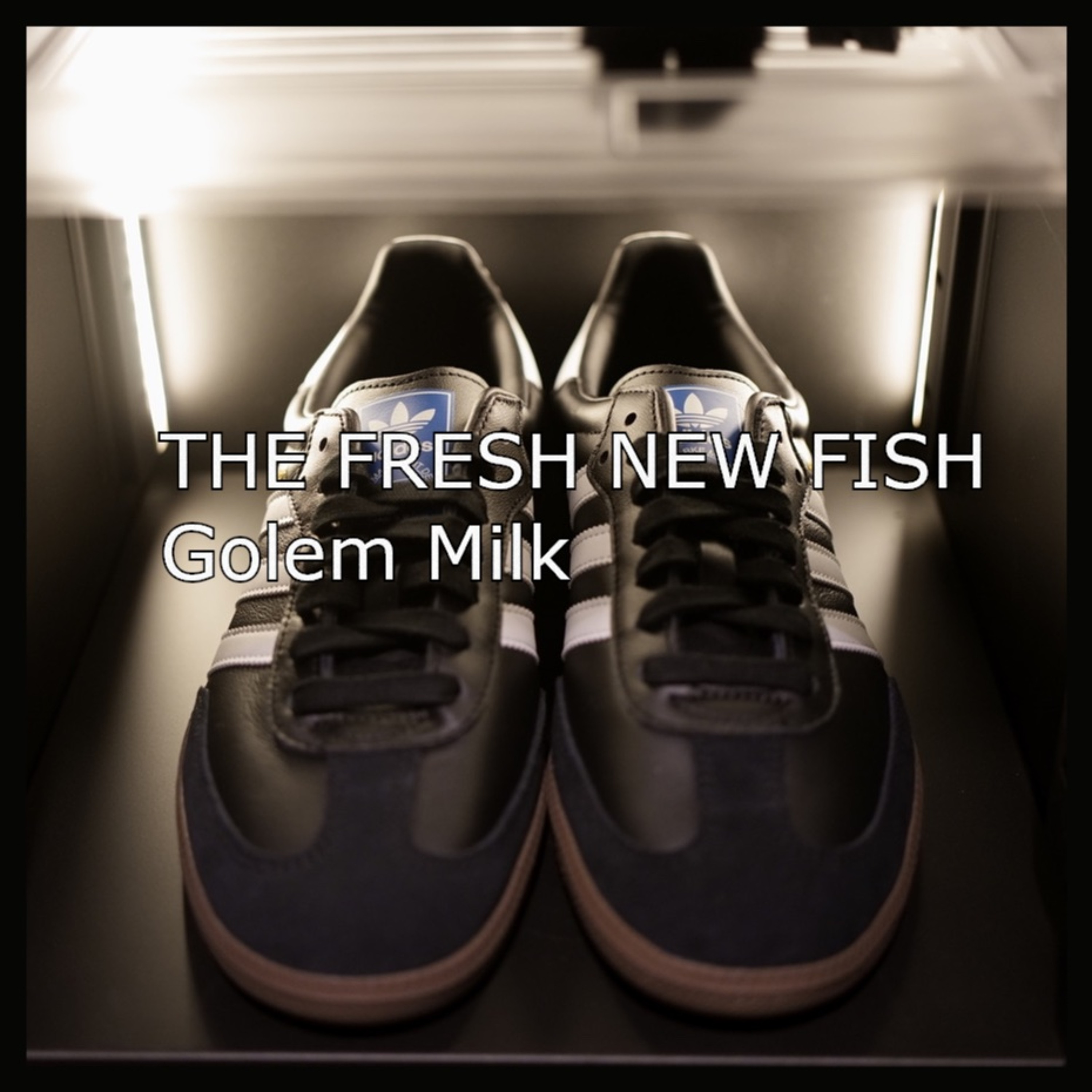 TheFreshNewFish episode artwork
