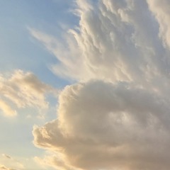 Monkeymaffia - Raining day