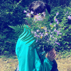 Introvertie