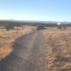 Sunny Seid (Seids Remix Contest)