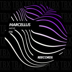 Premiere: Marcellus - Juicy [Reecords]