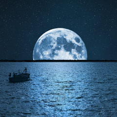 Midnight Moon-demo1