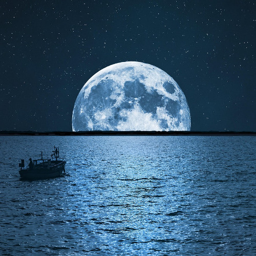 Midnight Moon-demo1