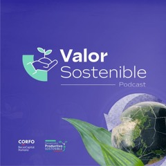 Ep.01 VALOR SOSTENIBLE Claudio Maggi "Descentralización con Impacto"
