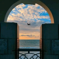 القارئ إسلام عثمان