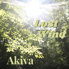 Lost Wind
