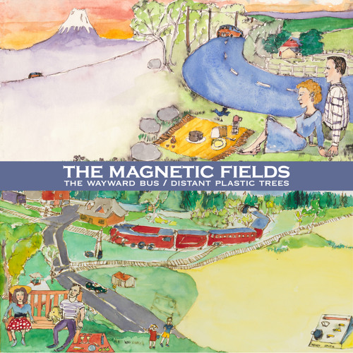 the magnetic fields