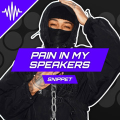 Scarlxrd | PAIN IN MY SPEAKERS「 Snippet 」