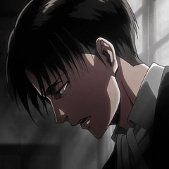 Barricades - Attack on Titan OST (soft & hopeful ver.)