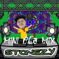 STONEZY (MINI PL8 MIX 2021)