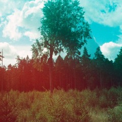 Think Of The Trees (There's Gremlins In Your Backyard) - Funky riff