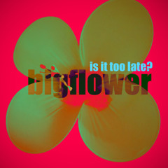 bigflower - is it too late?