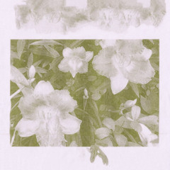 sad emperor (covenbay)