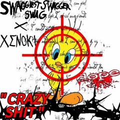 crazy shi (ft. xenoki)