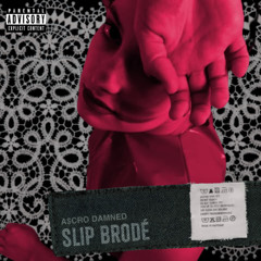 Slip brodé