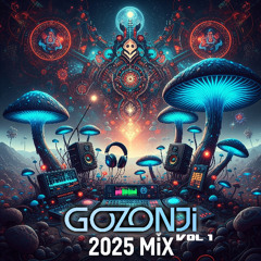 Gozonji - MiX 2025 VOL1