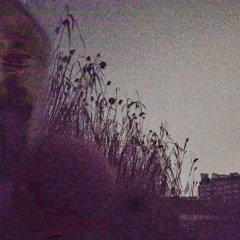 Tape #2 ( the Lake )