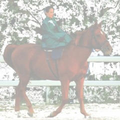 RIPRESA_DRESSAGE_TEMA_1