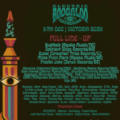 Harry Blotter Techno closing set @ Electric Boogaloo 2025