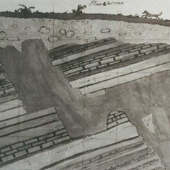 Hutton's Section