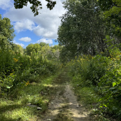 Phantom of the Isthmus Radio Show #098