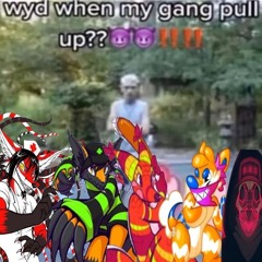 LAPFOX TRAX