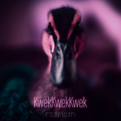 KwekKwekKwek