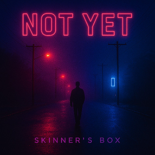 SKINNER'S BOX - Not yet