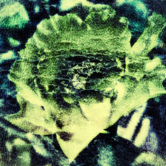 columnarcotics (reminsicin')