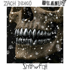 SNOW FALL