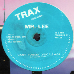 I Can't Forget (Vocal)
