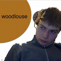 Woodlouse