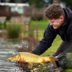 KOEDMMDIDAETS - ROY GOAT