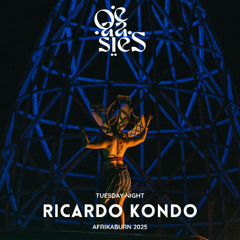 Ricardo Kondo  - OE-AA-SIES - Tuesday Night @ Afrikaburn 2025