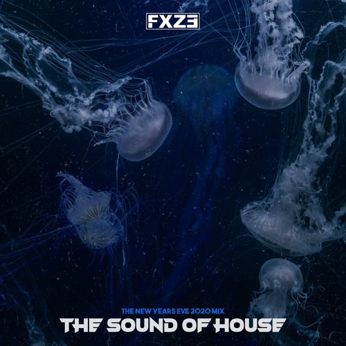 The Sound Of House