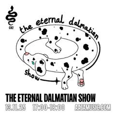 The Eternal Dalmation Show - Aaja channel 2 - 13 11 25