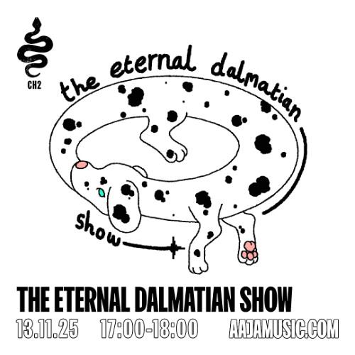 The Eternal Dalmation Show - Aaja channel 2 - 13 11 25