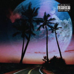 Palm Trees freestyle (x and flatbush zombie’s inspired)