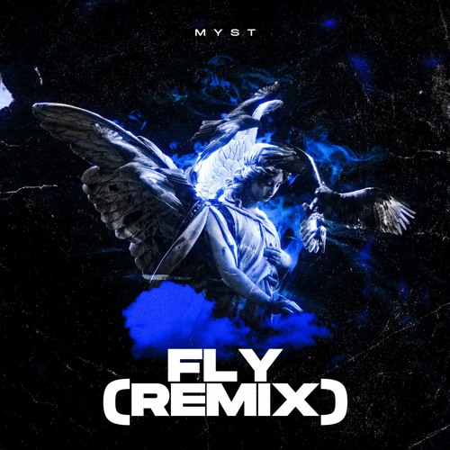 Fly (Remix)