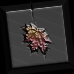 Thinning Leaves