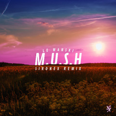 Le Wanski - M.U.S.H (Sironex Remix)