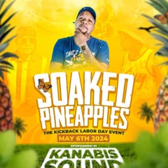 Soaked Pineapple may 5th 2024 stingaz and jelly live