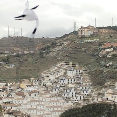 Ultranoise Fairy ButttNottt #2 - [DJ Laguna]